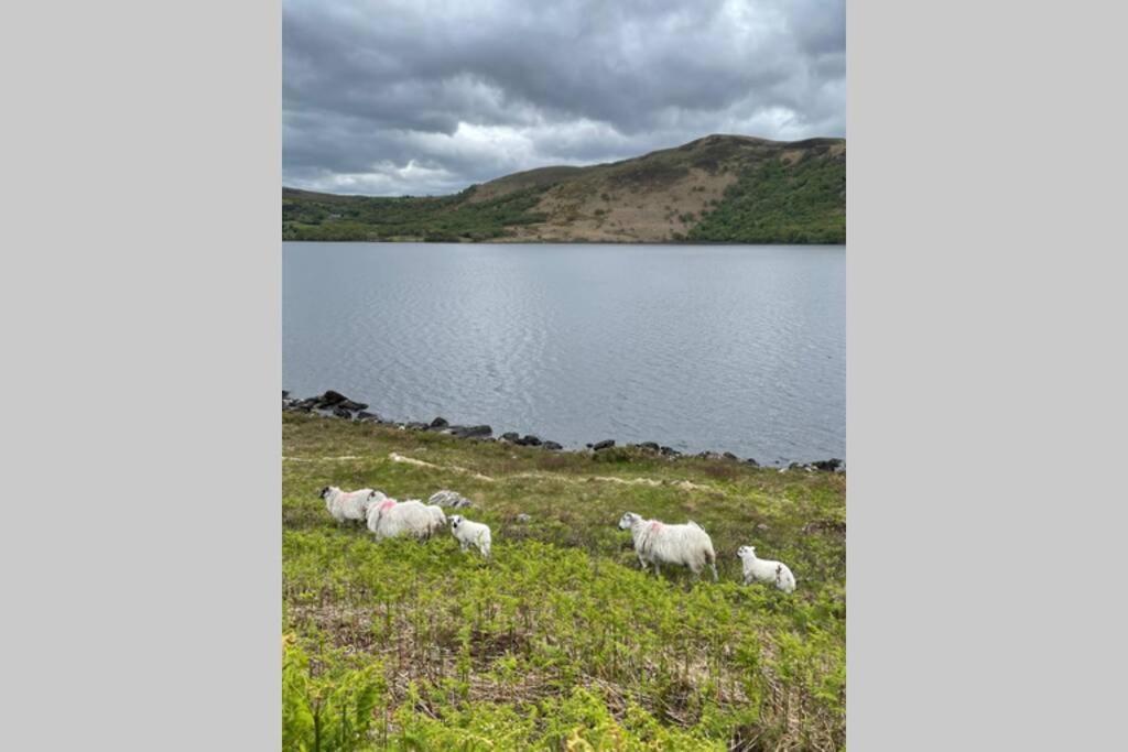 Red Fox Chalet On The Ring Of Kerry Glenbeigh Exterior photo